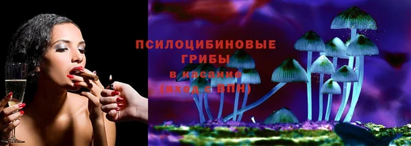 шишки Богородск
