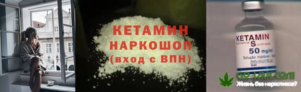 шишки Богородск